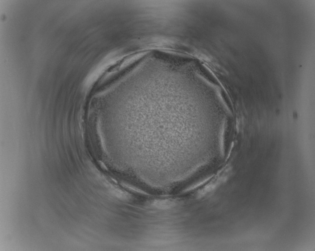 X0000076100341200610061712