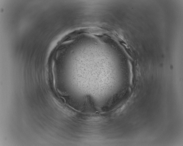 X0000076100342200610061712