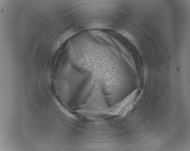 X0000076100345200610061712