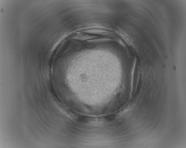 X0000076100347200610061712