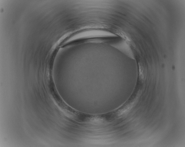 X0000076100348200610061712