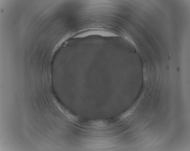 X0000076100349200610061712