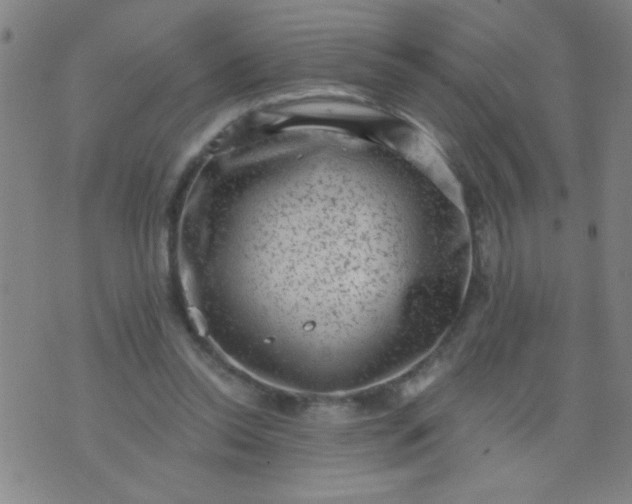 X0000076100350200610061712