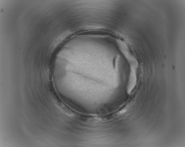 X0000076100351200610061712