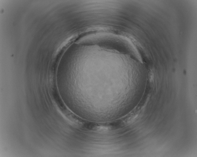 X0000076100352200610061712