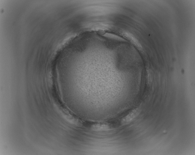 X0000076100354200610061712