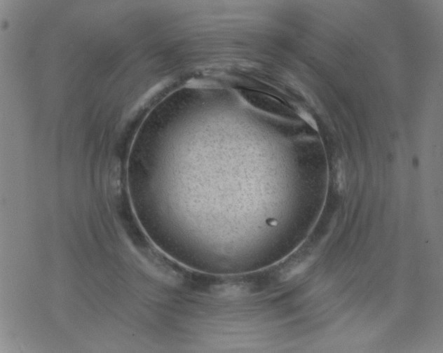 X0000076100356200610061712