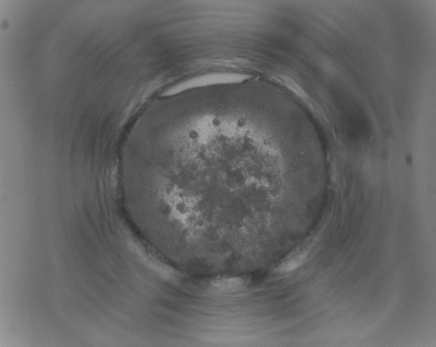 X0000076100357200610061712