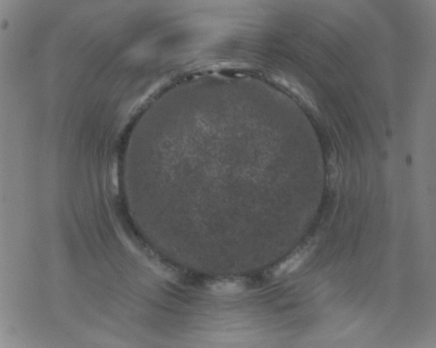 X0000076100358200610061712