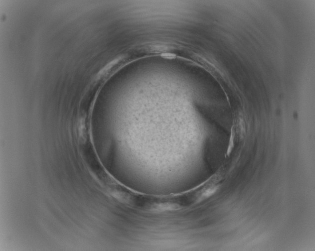 X0000076100360200610061712