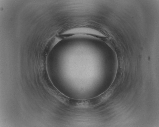 X0000076100362200610061712