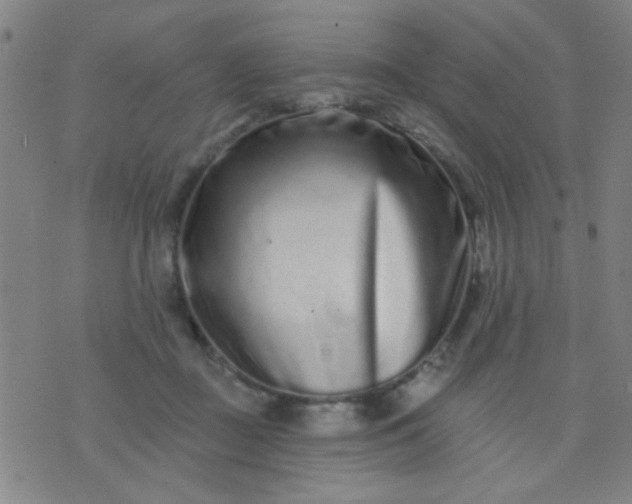 X0000076100363200610061712