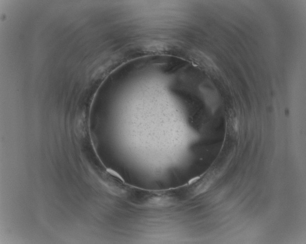 X0000076100364200610061712