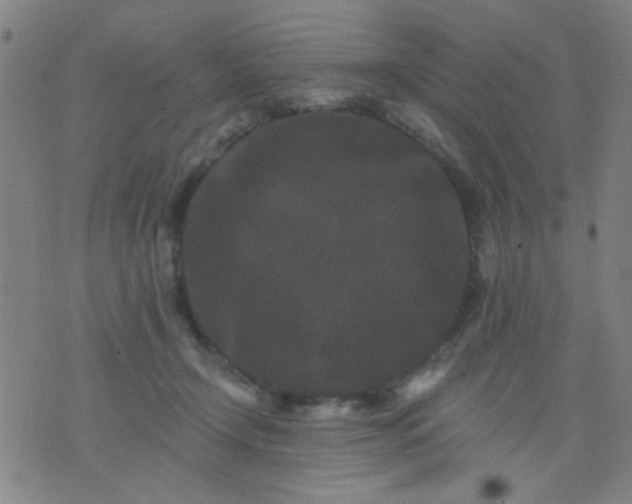 X0000076100366200610061712