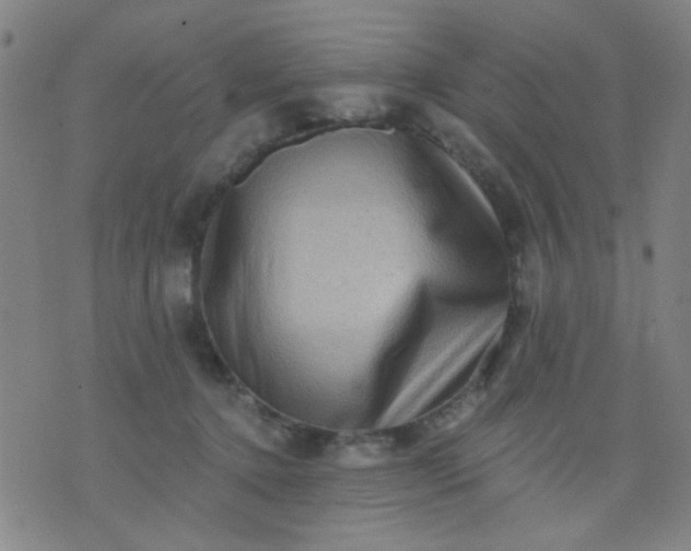 X0000076100368200610061712