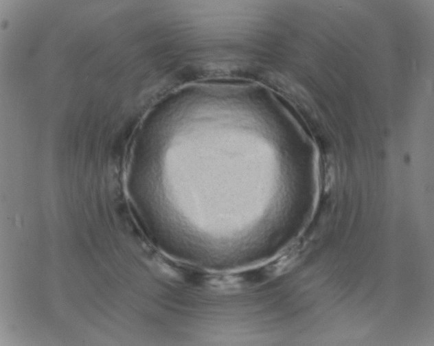 X0000076100369200610061712