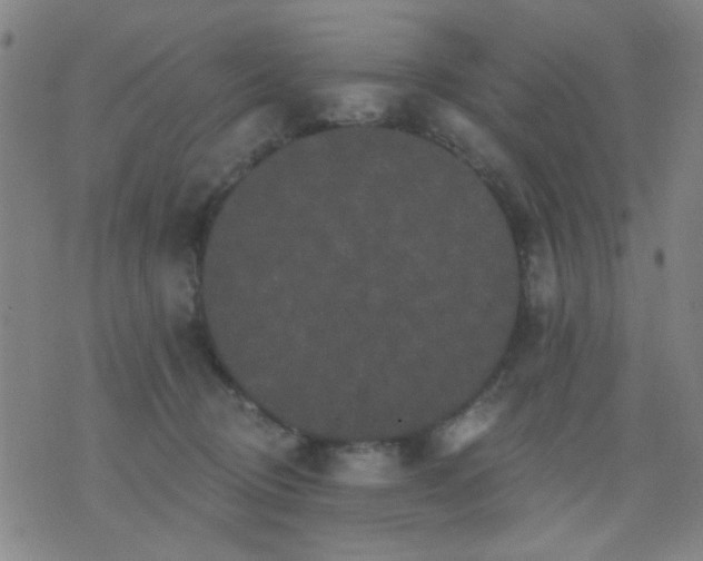 X0000076100370200610061712