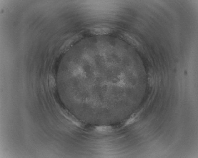 X0000076100371200610061712