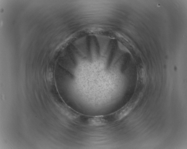 X0000076100372200610061712