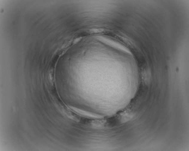 X0000076100373200610061712