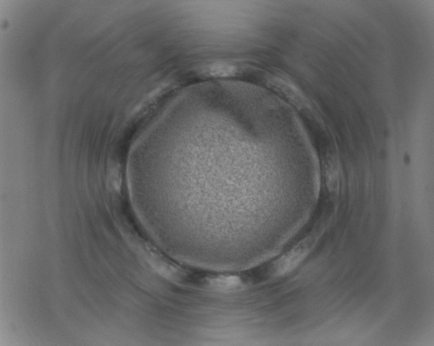 X0000076100374200610061713