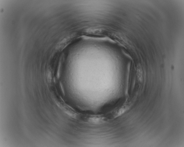 X0000076100375200610061713