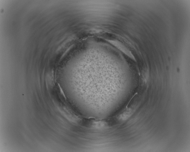 X0000076100376200610061713