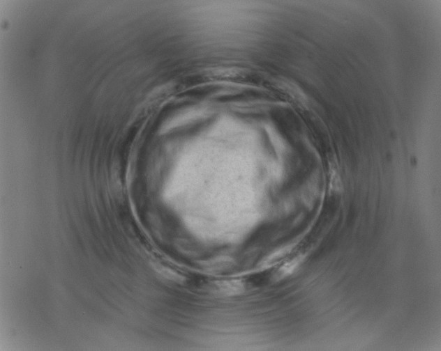 X0000076100377200610061713