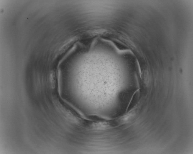 X0000076100378200610061713