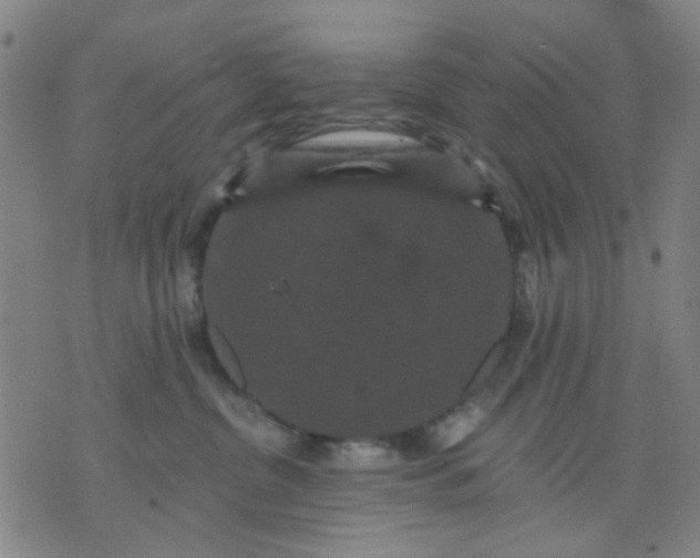 X0000076100380200610061713