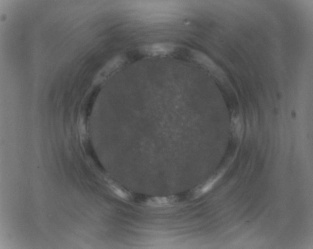 X0000076100381200610061713