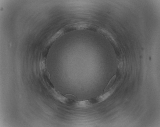 X0000076100382200610061713