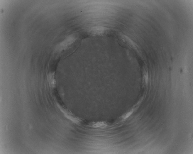 X0000076100383200610061713