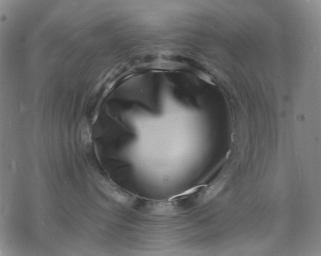 X0000076100384200610061713