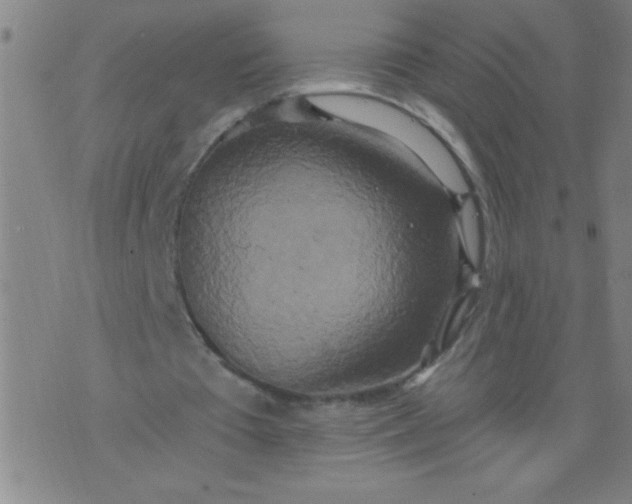 X0000076100385200610061712