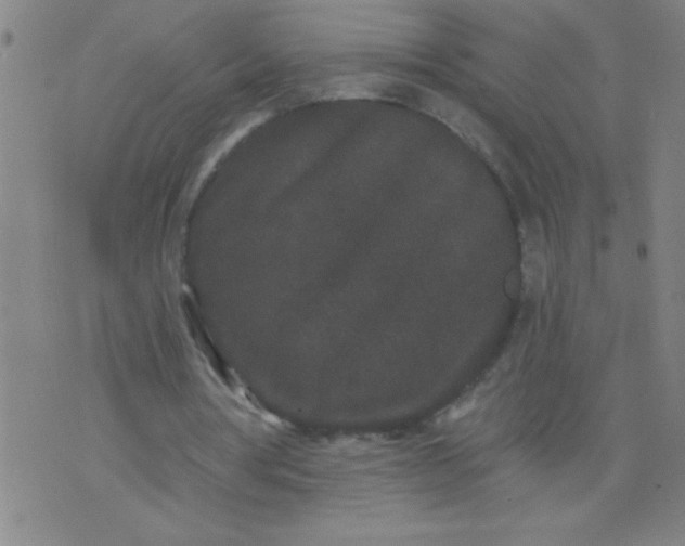 X0000076100386200610061712