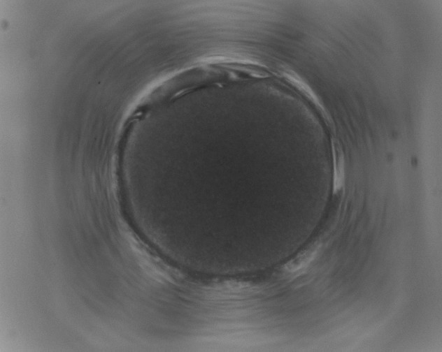 X0000076100387200610061712