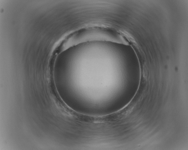 X0000076100388200610061712