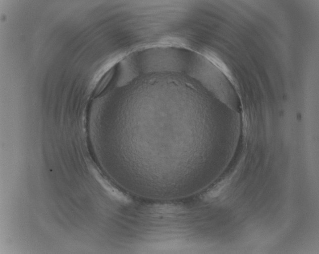 X0000076100389200610061712