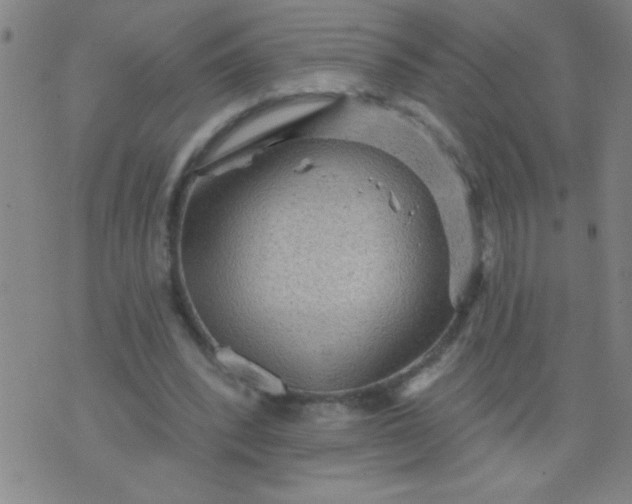 X0000076100392200610061712