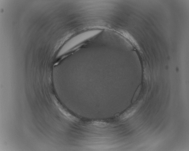 X0000076100393200610061712