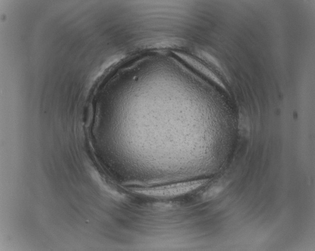 X0000076100394200610061712