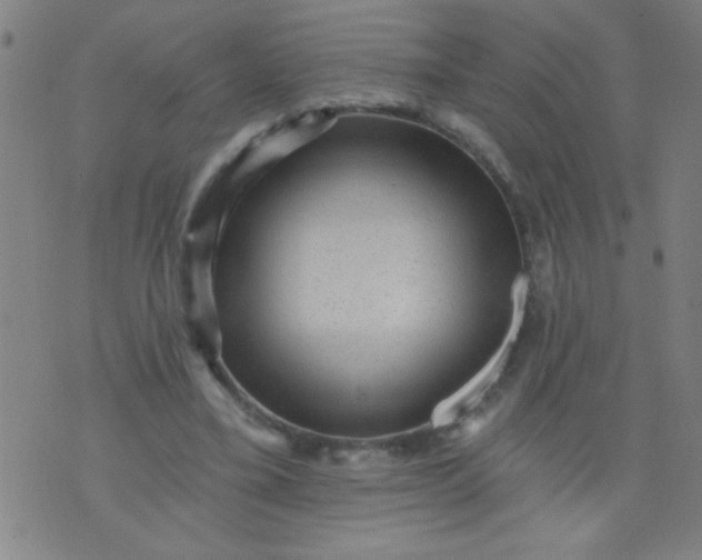 X0000076100395200610061712