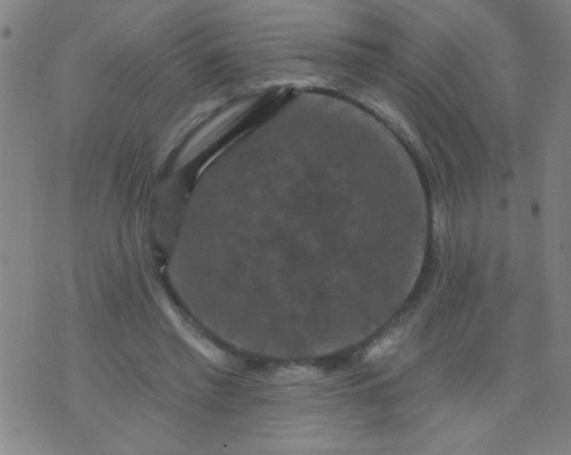 X0000076100397200610061712