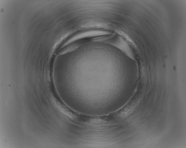 X0000076100399200610061712