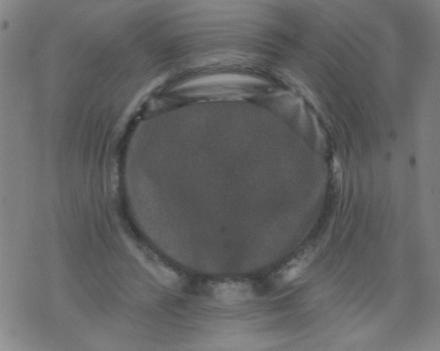 X0000076100400200610061712