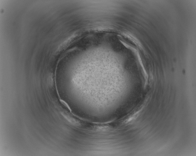 X0000076100401200610061712