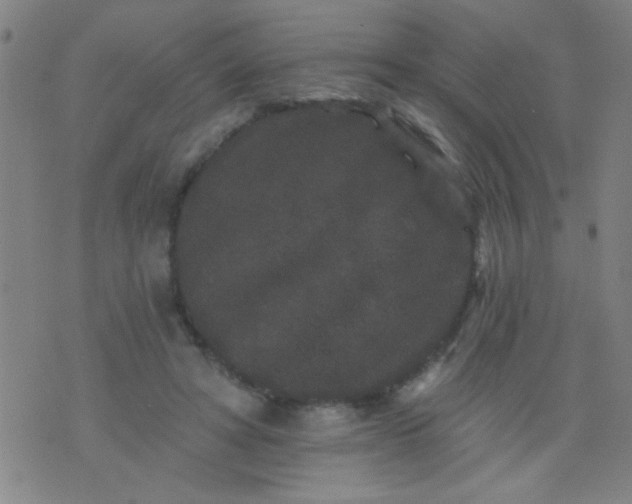 X0000076100402200610061712