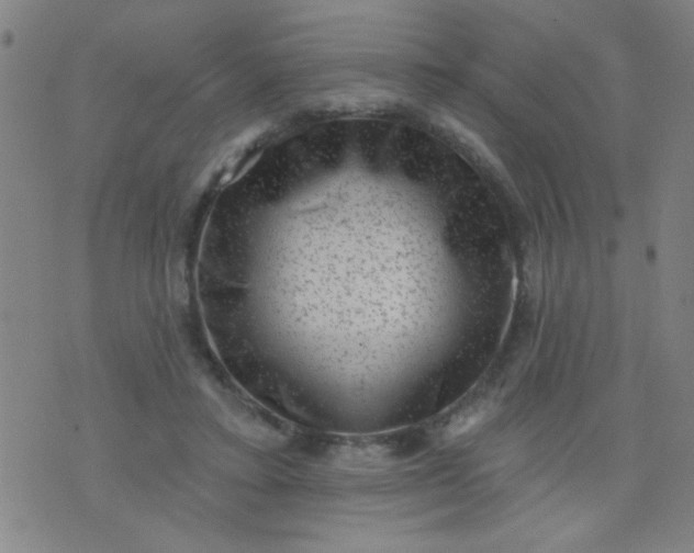 X0000076100403200610061712