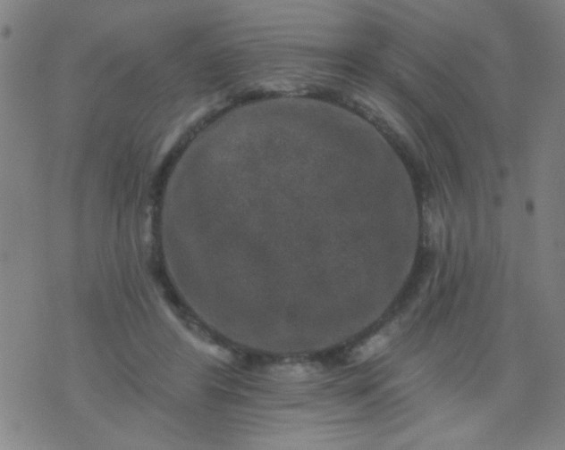 X0000076100404200610061712